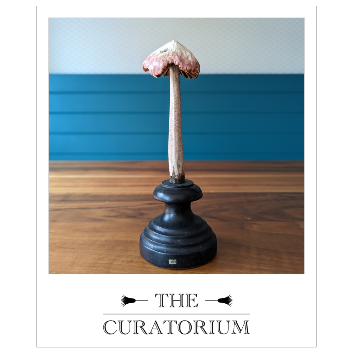 Antique painted wood botanical model of a mushroom