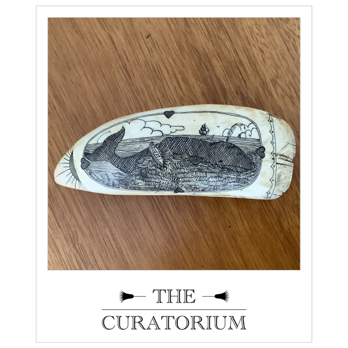 Whale tooth sailor's scrimshaw, circa 1900