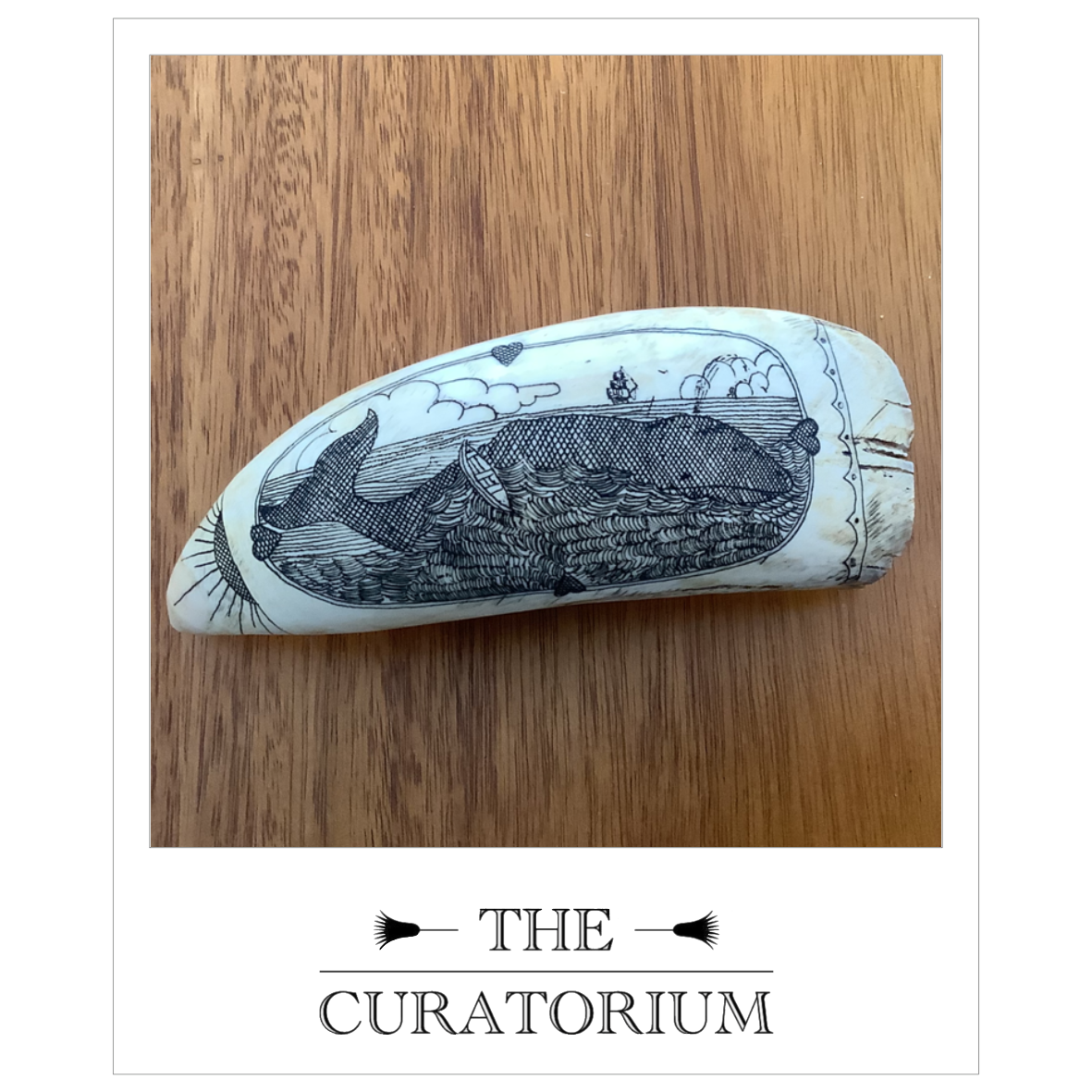 Whale tooth sailor's scrimshaw, circa 1900