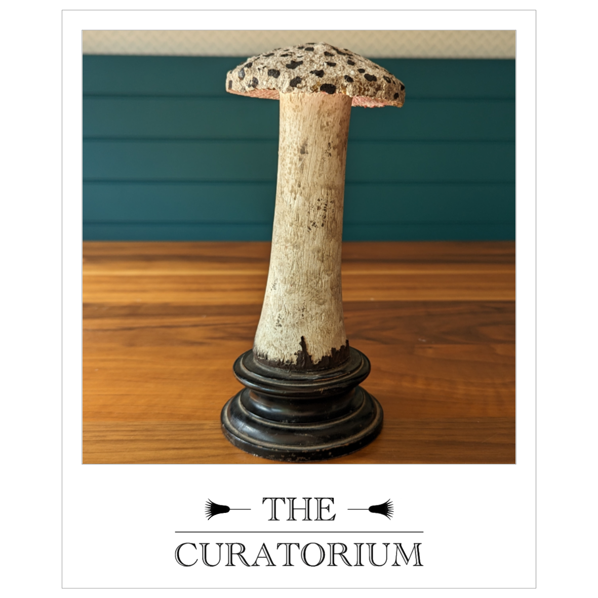 Antique painted wood botanical model of a mushroom