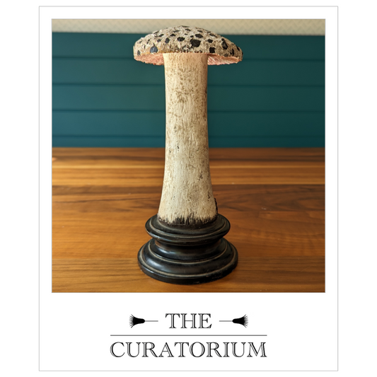 Antique painted wood botanical model of a mushroom