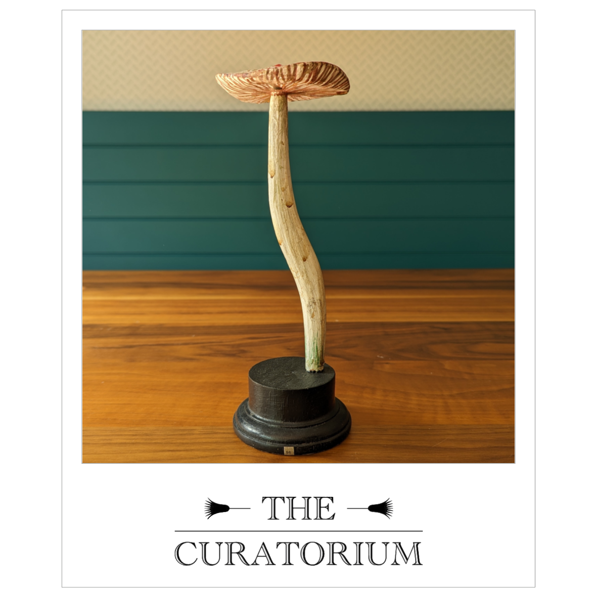 Antique painted wood botanical model of a mushroom