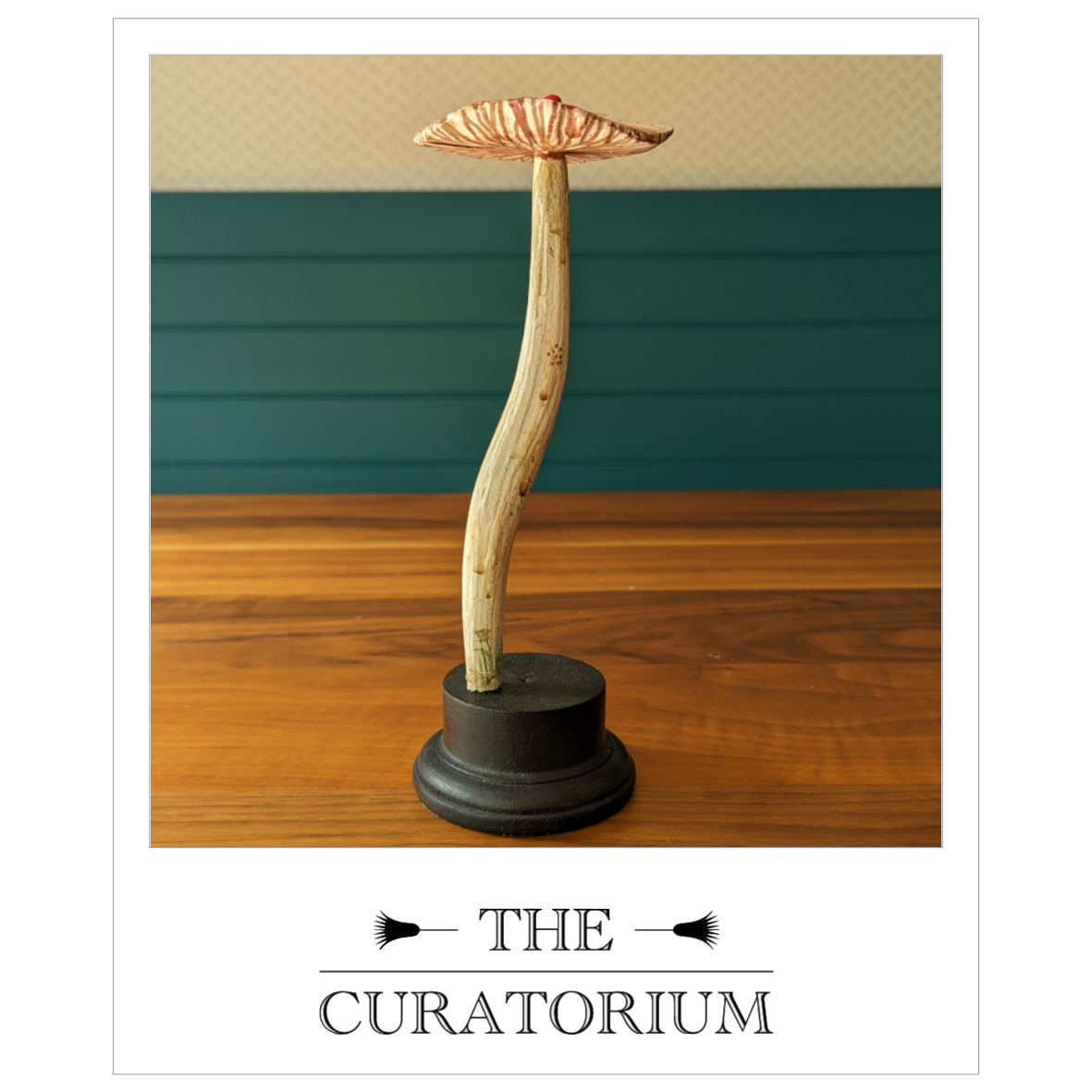 Antique painted wood botanical model of a mushroom