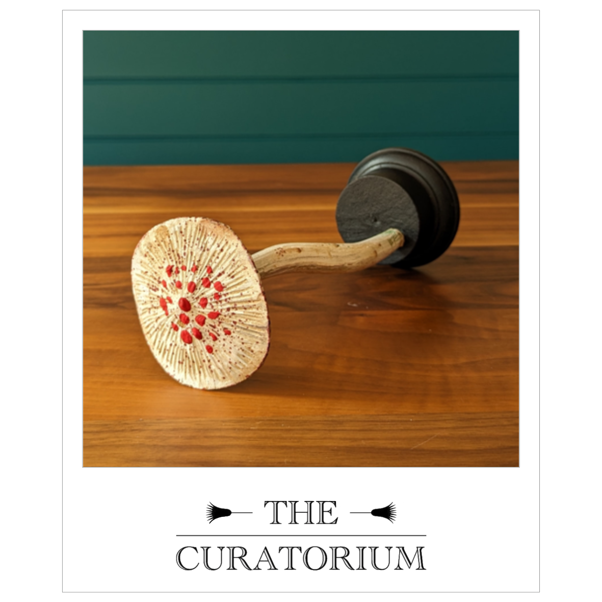 Antique painted wood botanical model of a mushroom