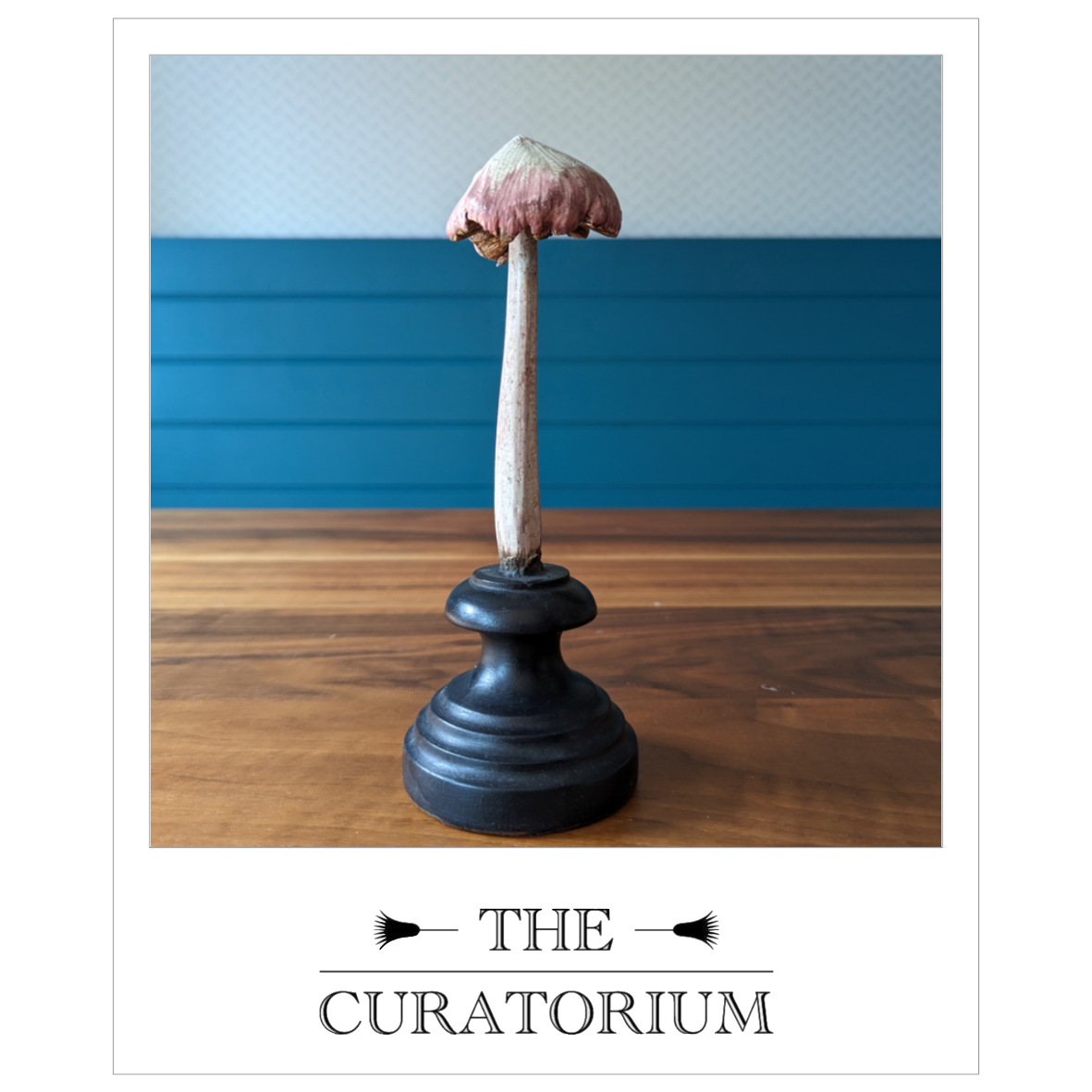 Antique painted wood botanical model of a mushroom